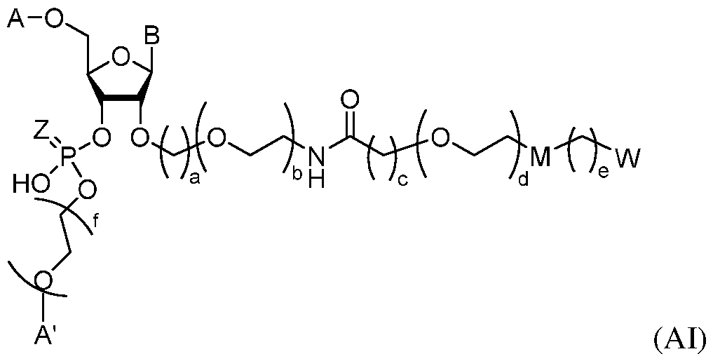 Figure imgf000030_0001
