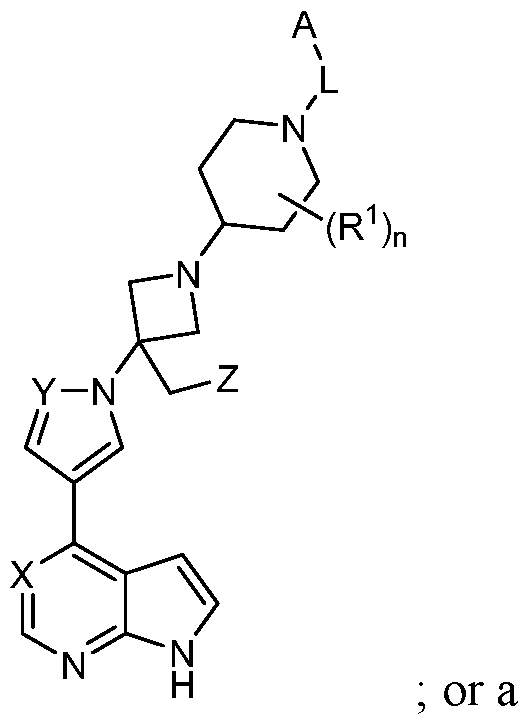 Figure imgf000011_0002