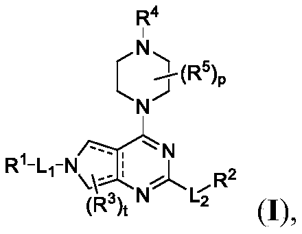 Figure PCTCN2020118665-appb-100001