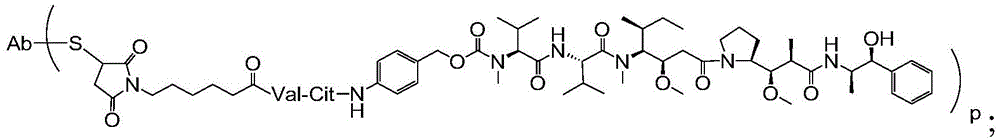 Figure BDA0003169464670000382