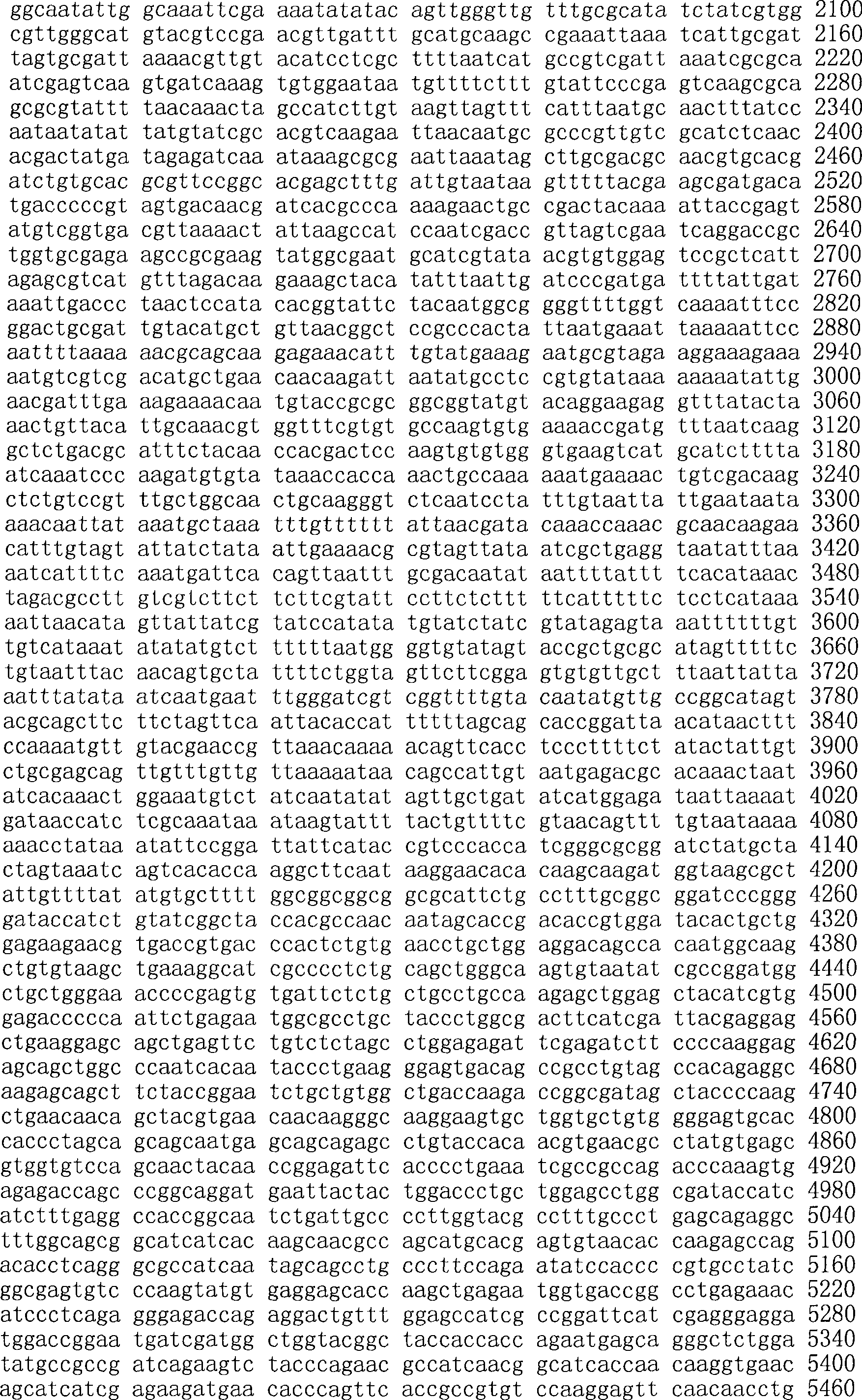 Figure A200780009494D01901