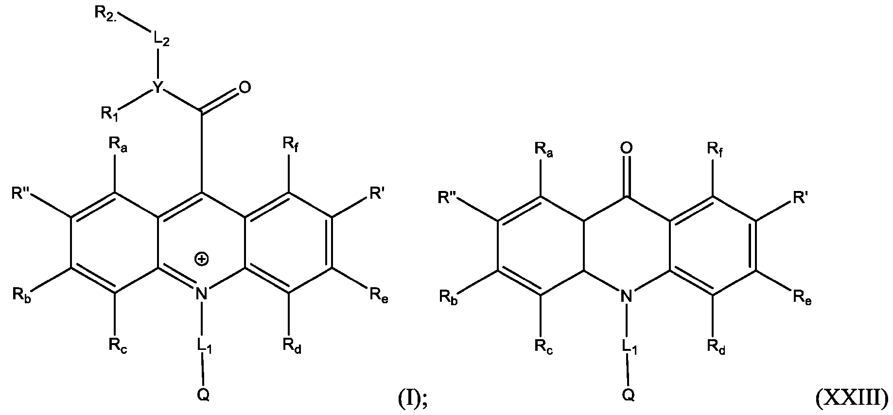 Figure imgf000301_0001