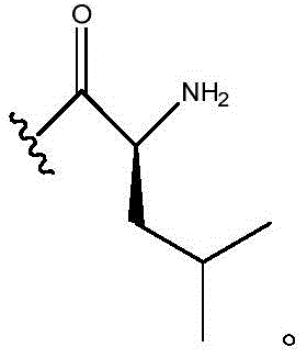 Figure BDA0003357934970000254