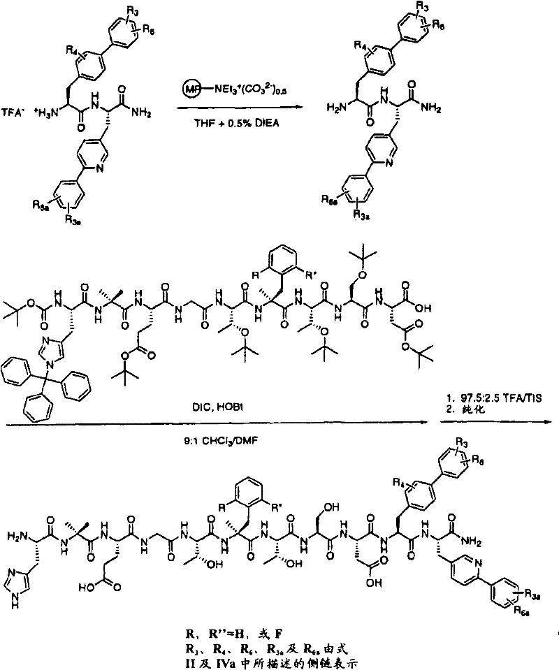 Figure B2005800295435D00651