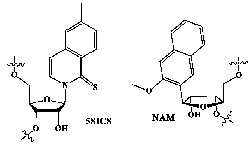 Figure imgf000026_0002