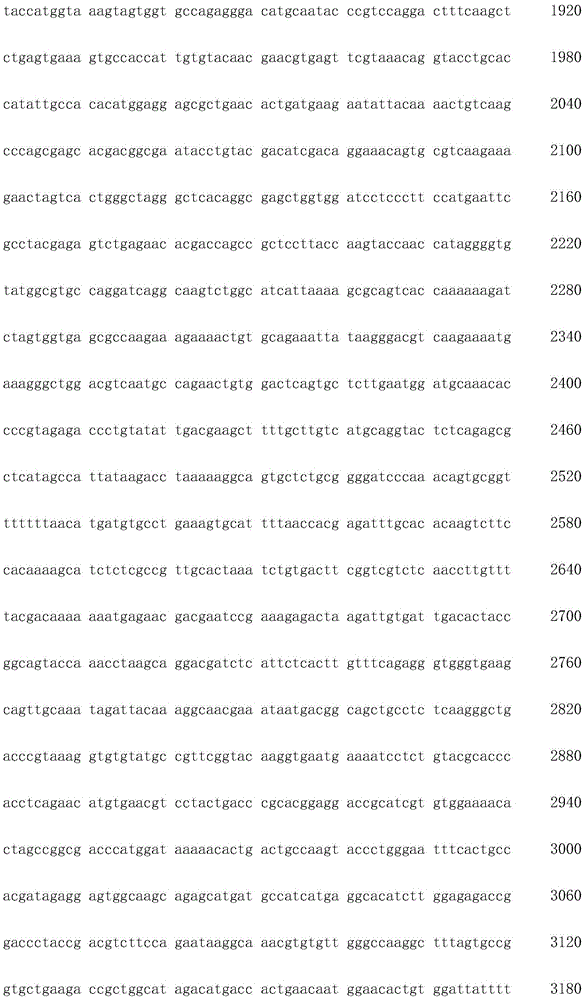 Figure IDA0002872168960000991