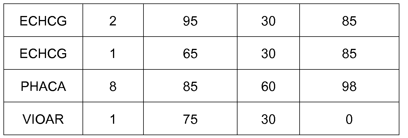 Figure imgf000191_0002