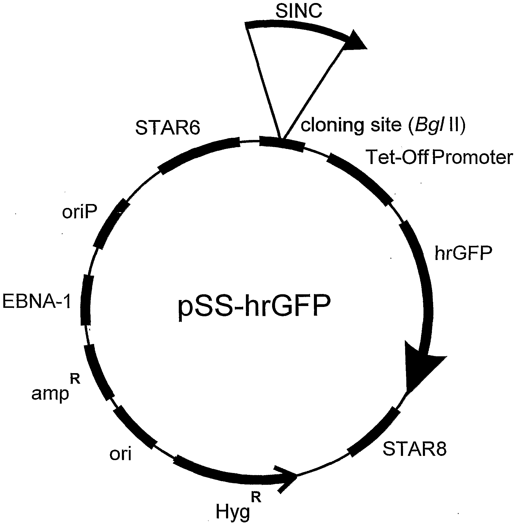 Figure imgf000174_0001