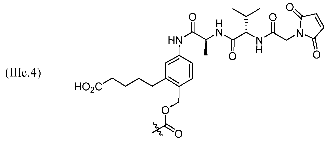 Figure imgf000125_0001