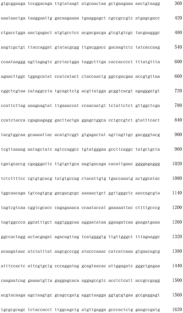 Figure IDA0002872168960002051