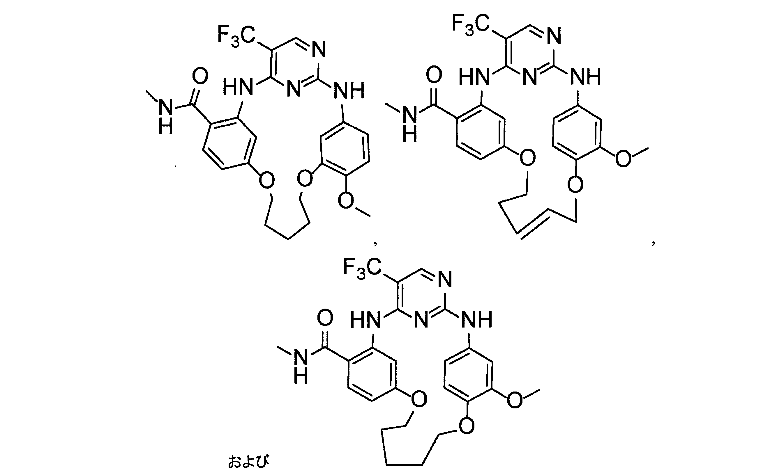 Figure 2023513793000019
