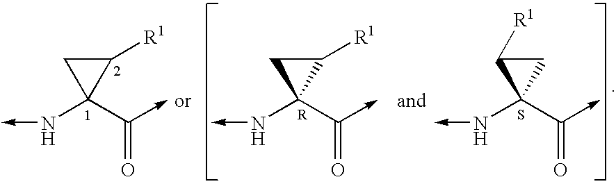 Figure US20040033959A1-20040219-C00018