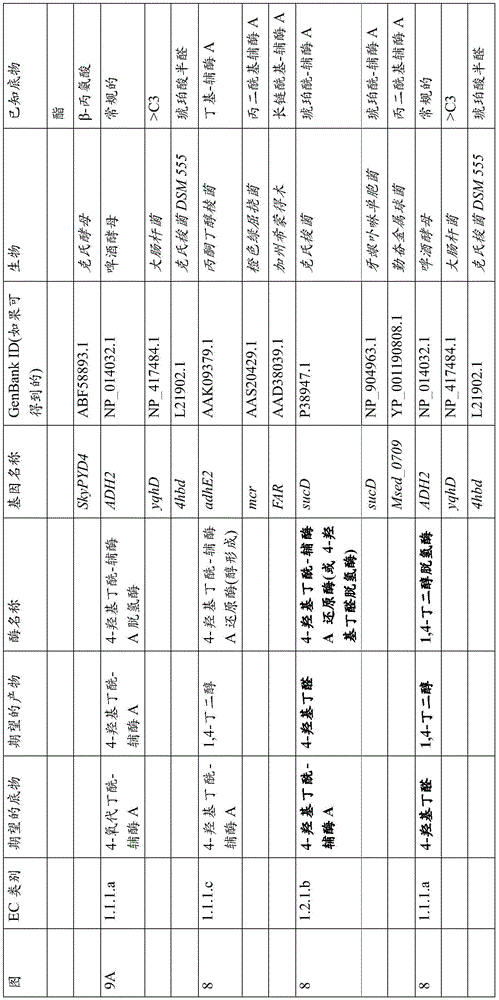 Figure BDA0003191798460001571