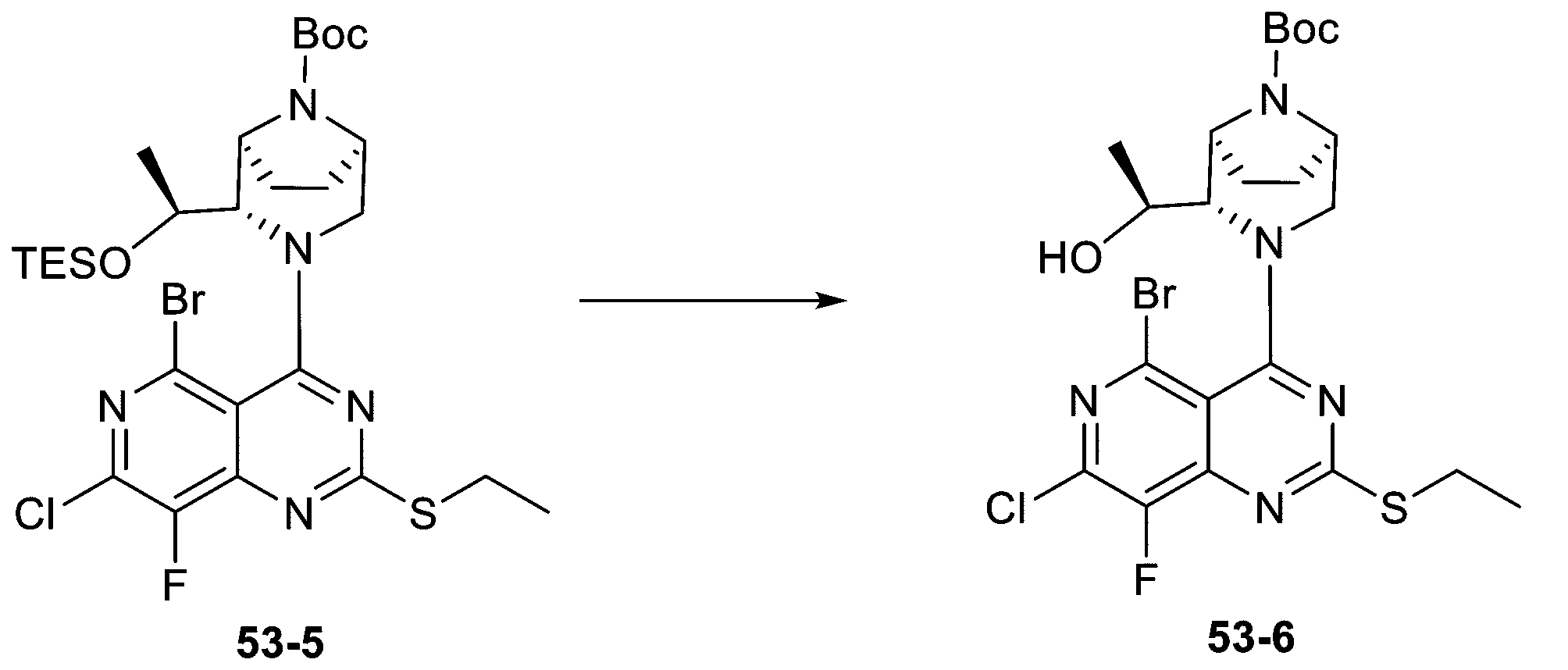 Figure 2025513258000239