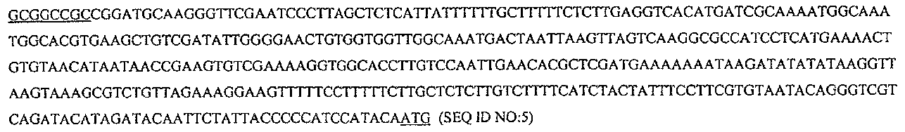 Figure 112006065182923-pct00023
