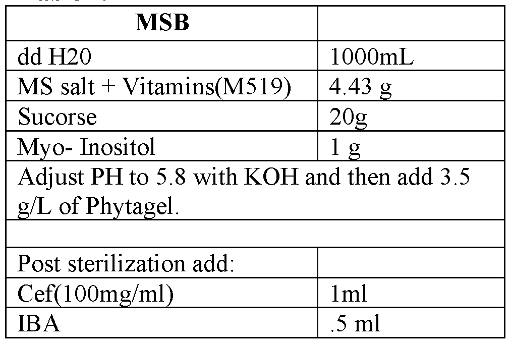 Figure imgf000123_0002