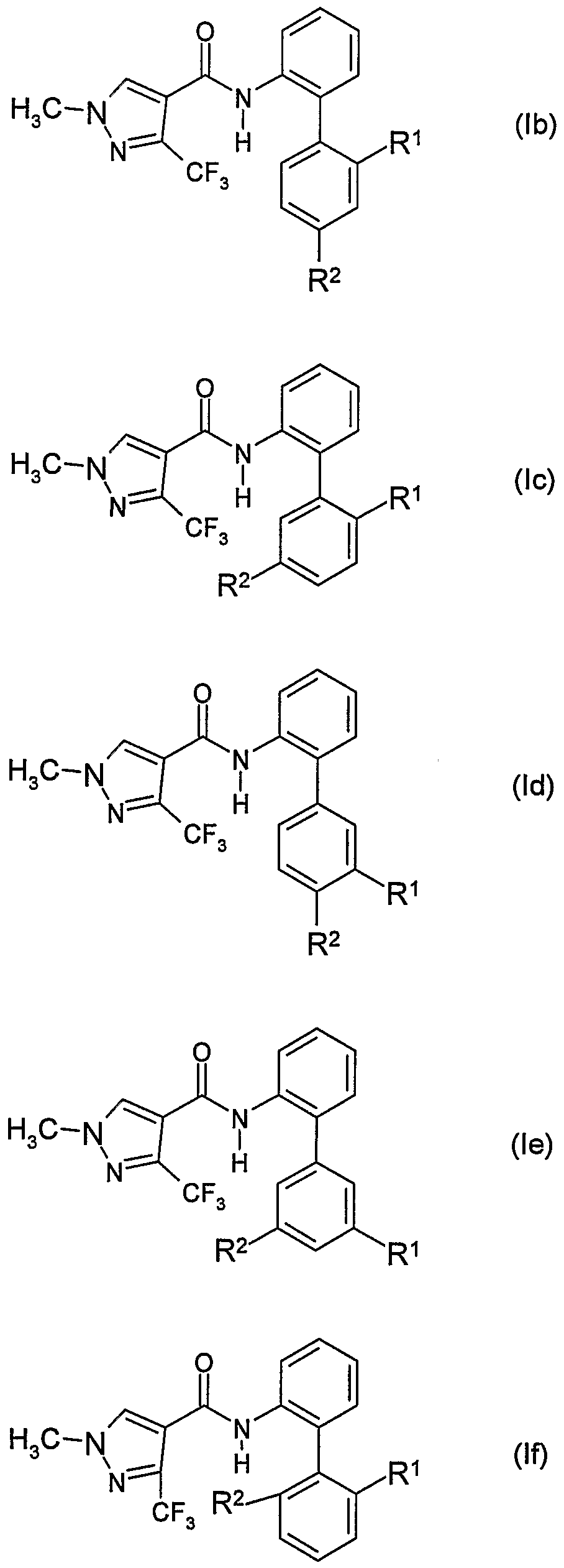 Figure imgf000004_0001