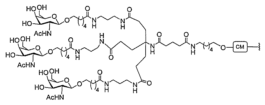 Figure 0006995478000276