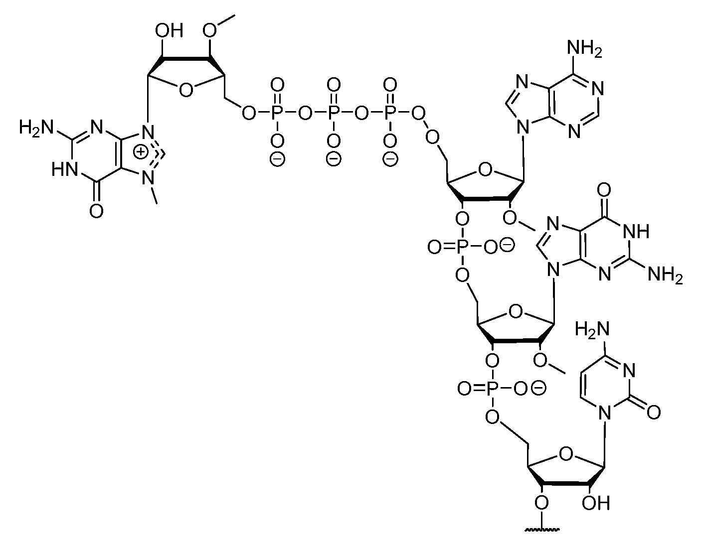 Figure imgf000223_0002
