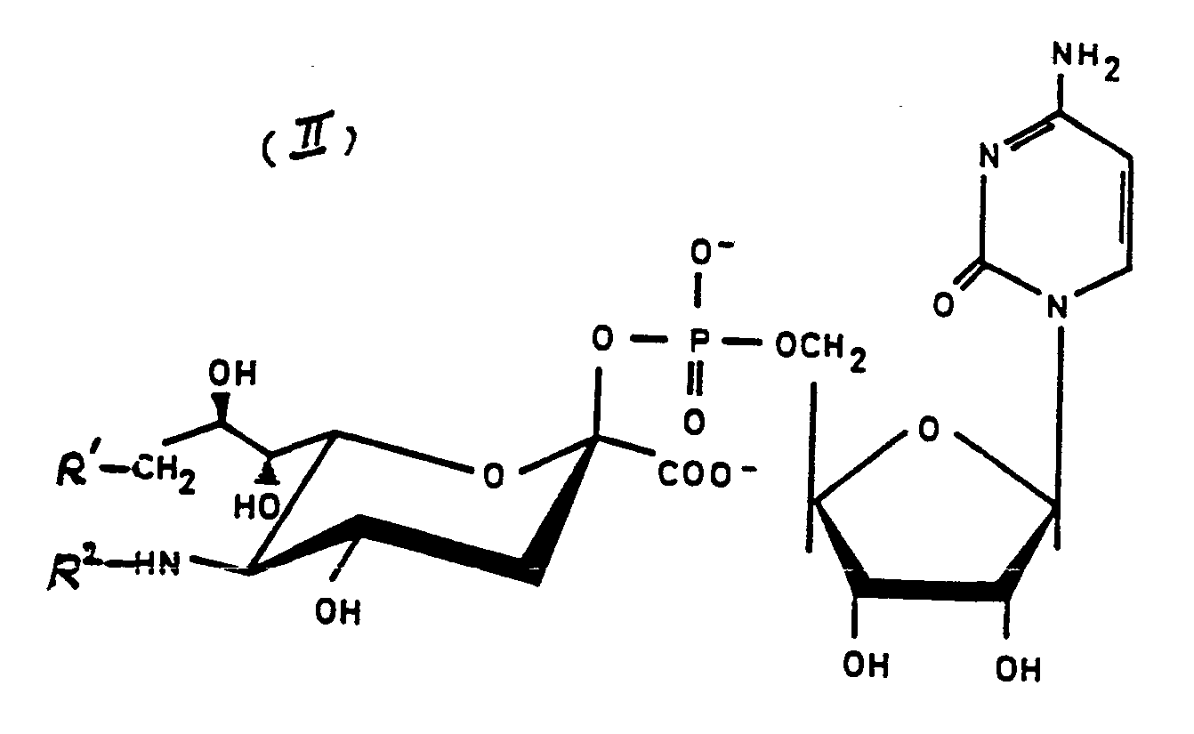Figure imgf000029_0001