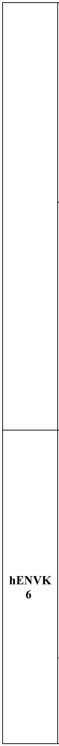 Figure imgf000034_0002