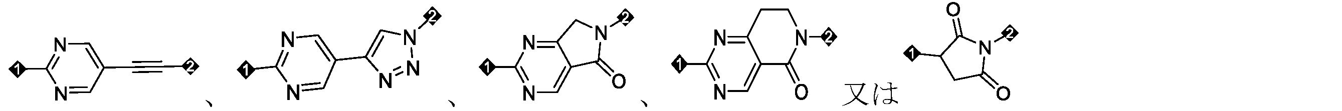 Figure 2025516873000148