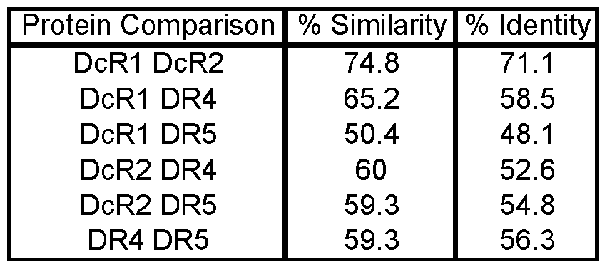 Figure imgf000116_0001