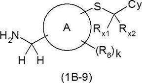Figure JPOXMLDOC01-appb-C000219
