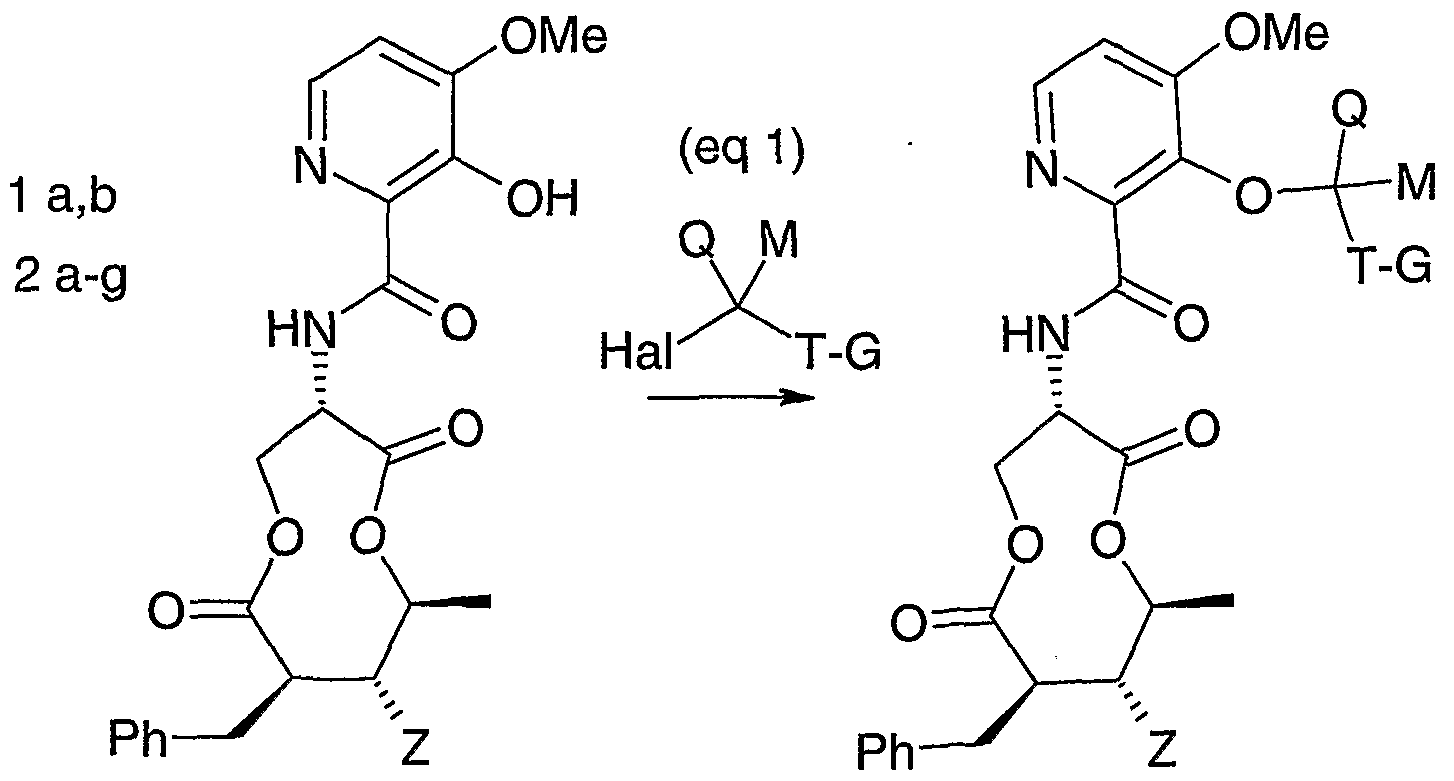 Figure imgf000013_0001