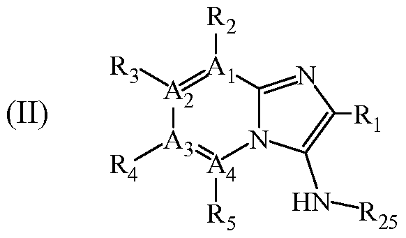 Figure imgf000009_0002