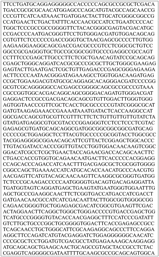 Figure BDA0002872168850002101