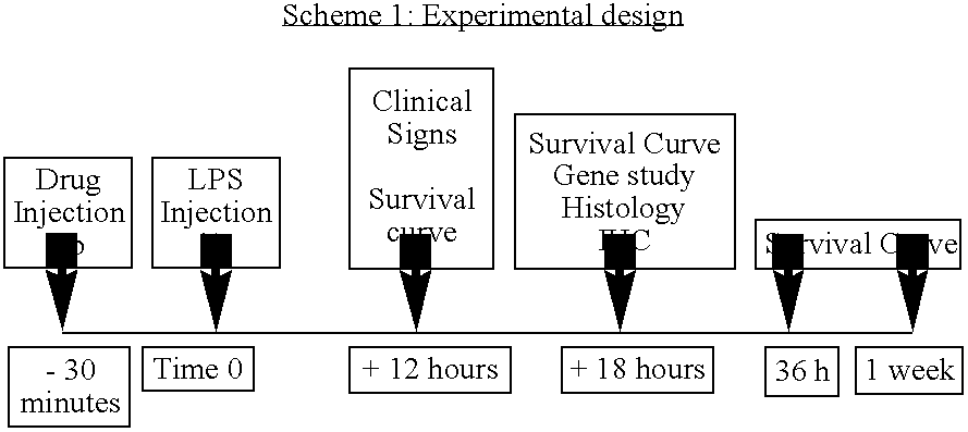 Figure US20060211752A1-20060921-C00023