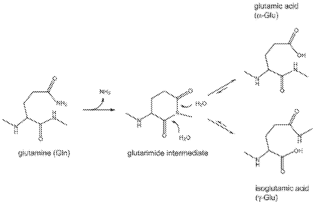 Figure imgf000027_0002