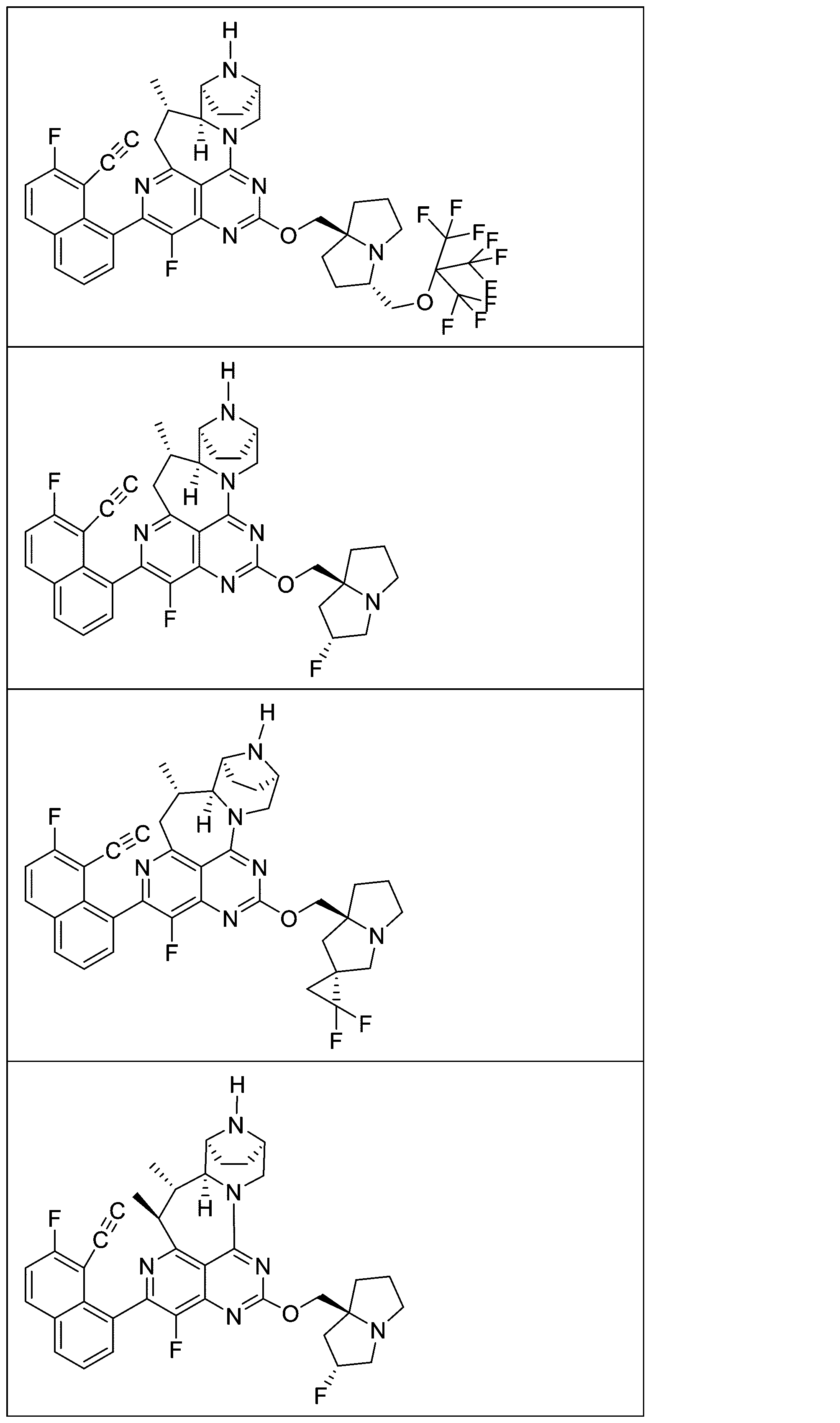 Figure 2025513258000088