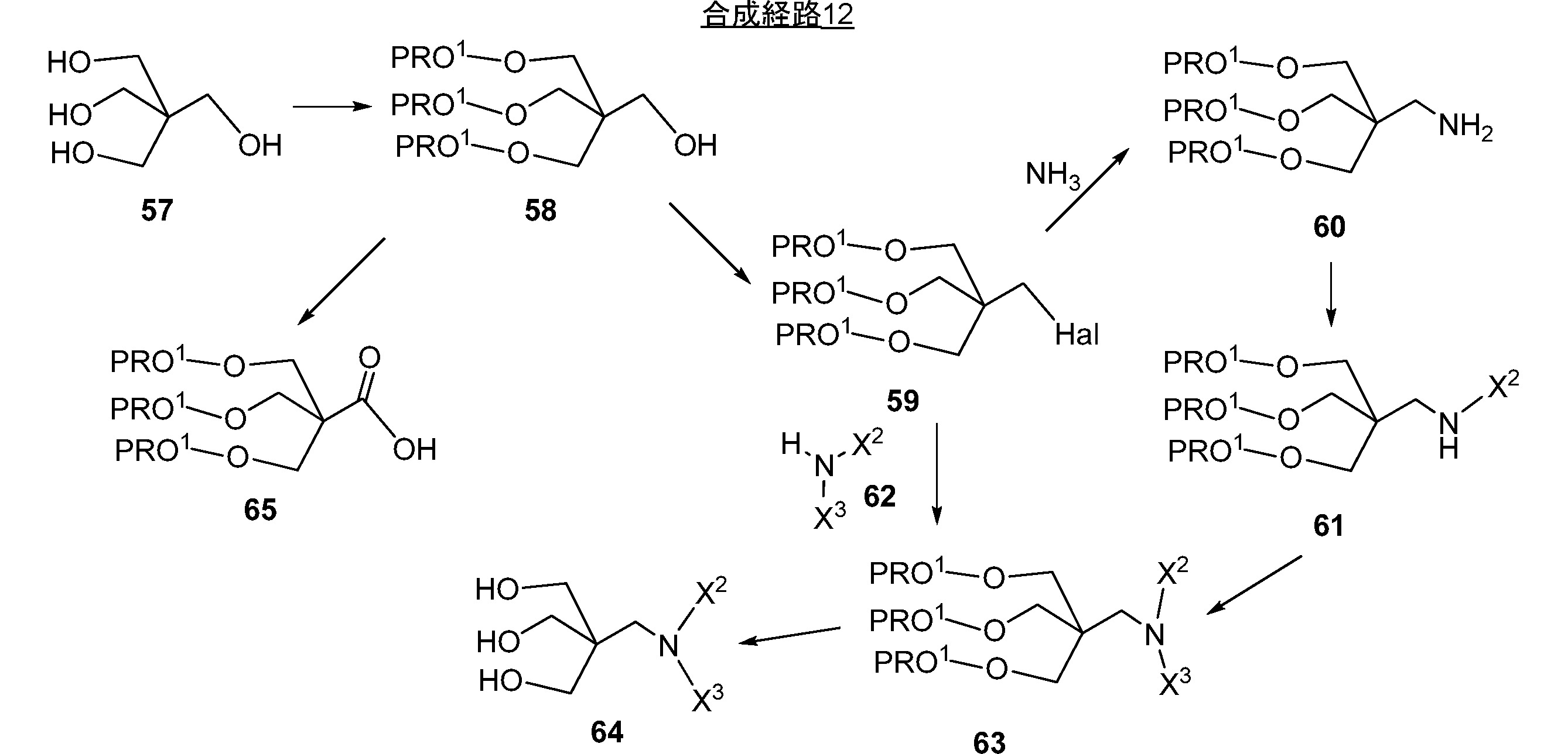 Figure JPOXMLDOC01-appb-C000101