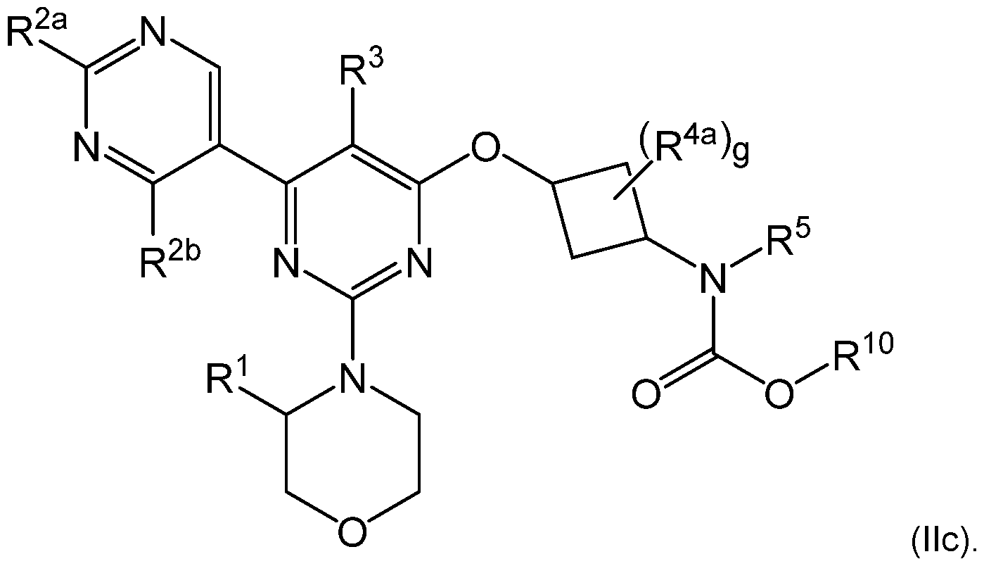 Figure imgf000023_0002
