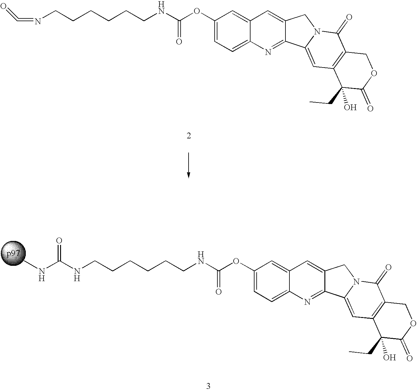 Figure US20060029586A1-20060209-C00027