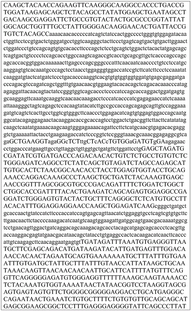 Figure BDA0002872168850001631