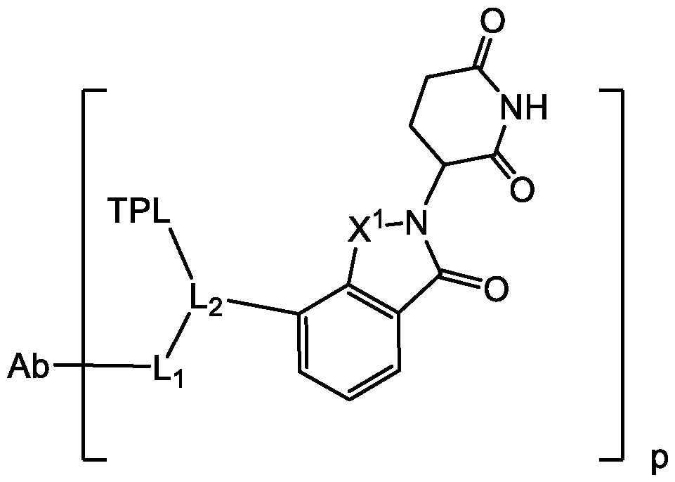 Figure imgf000104_0001