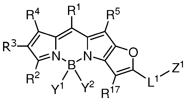 Figure imgf000043_0002