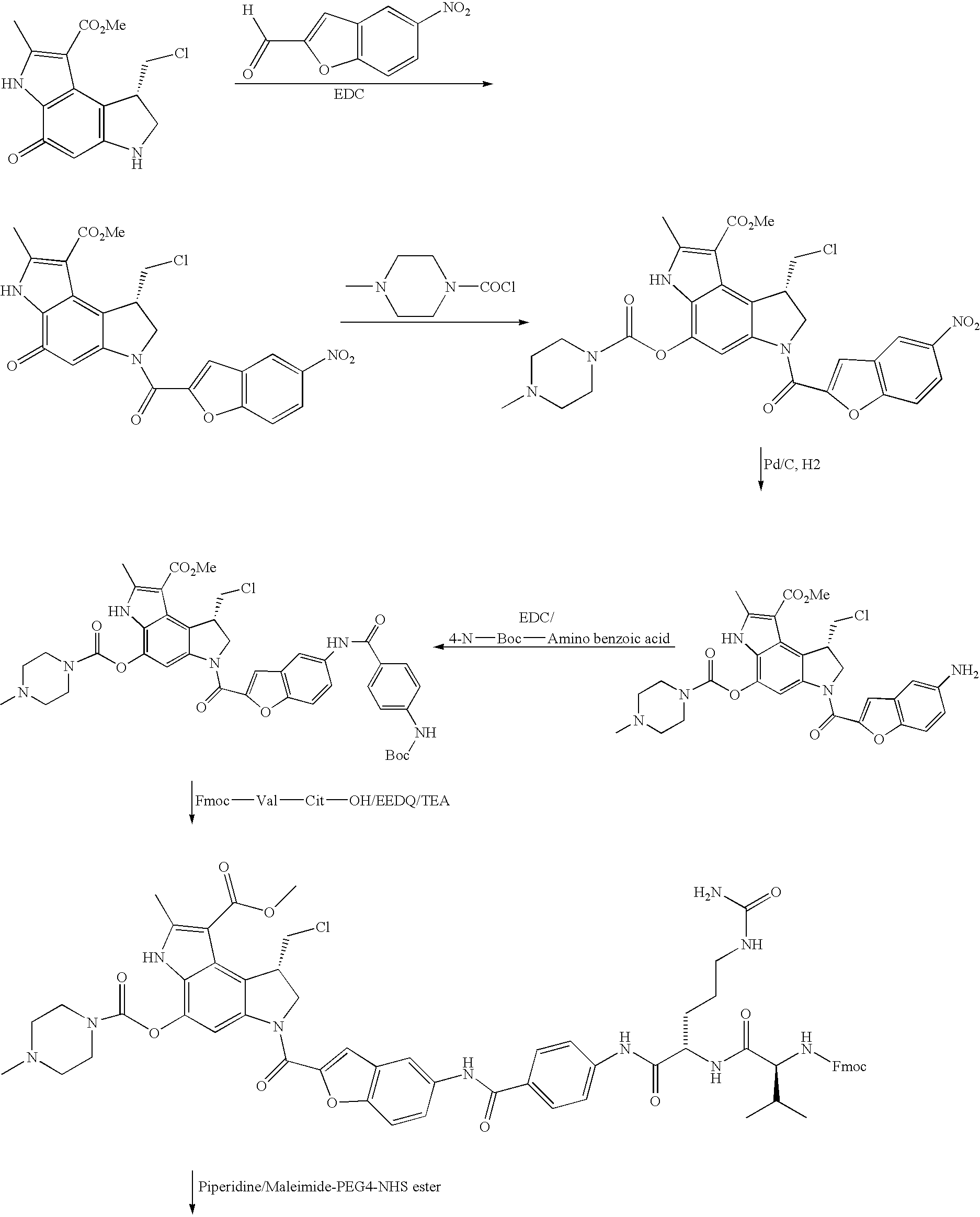 Figure US20060024317A1-20060202-C00101