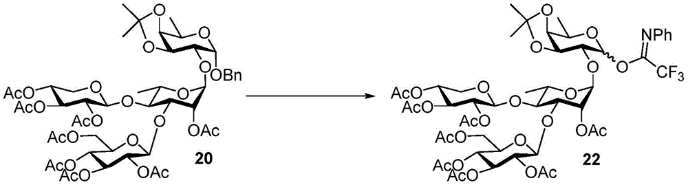 Figure GDA0003437676220000341