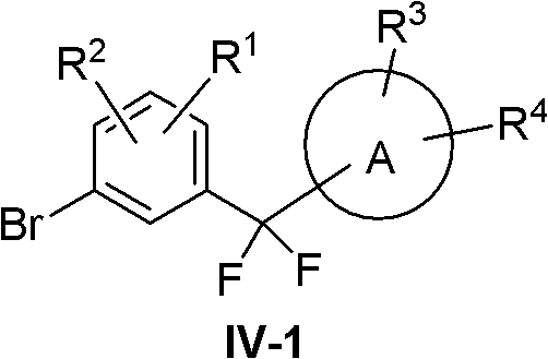 Figure GDA0000137381890000101
