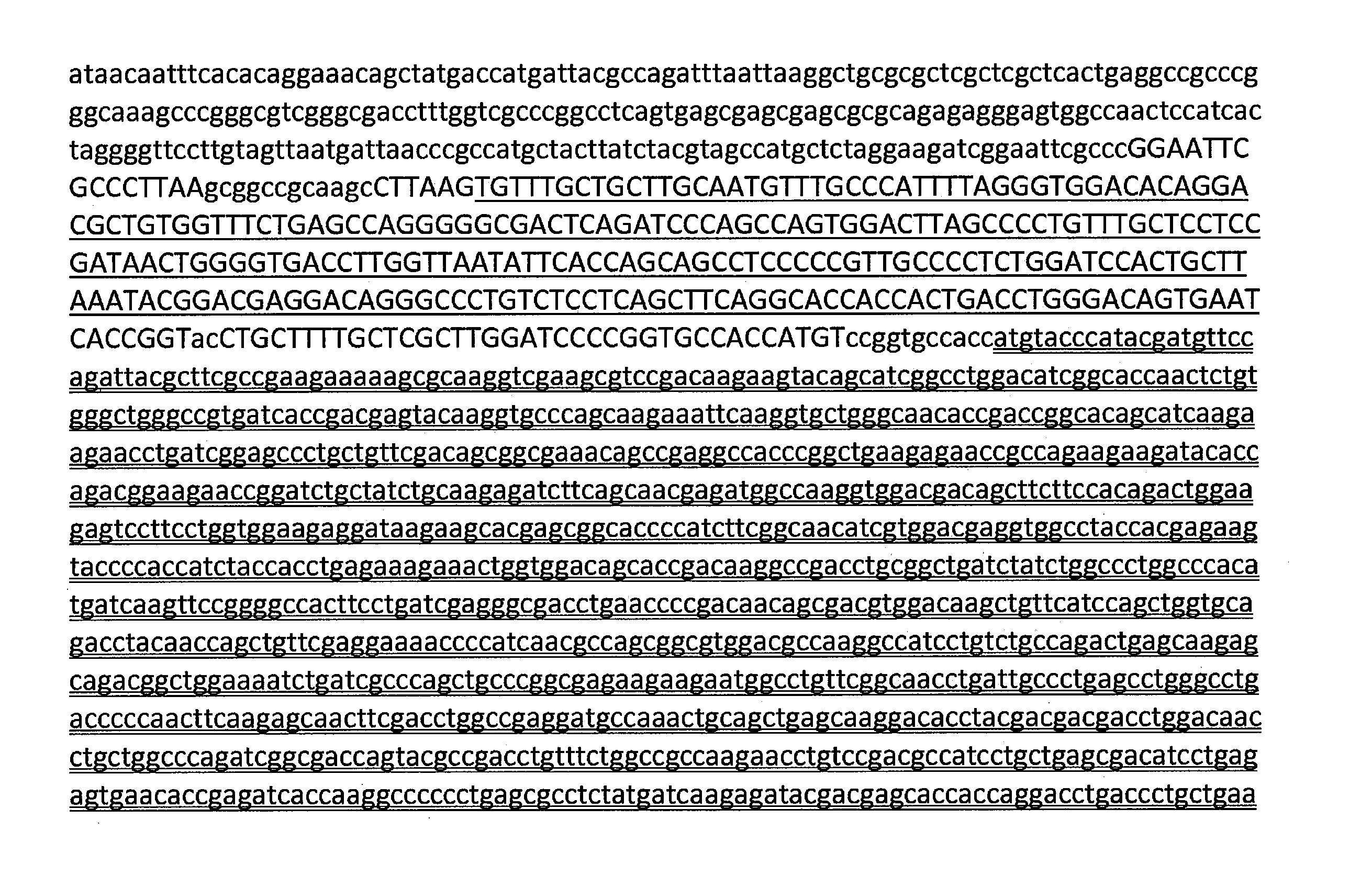 Figure 2022505139000019