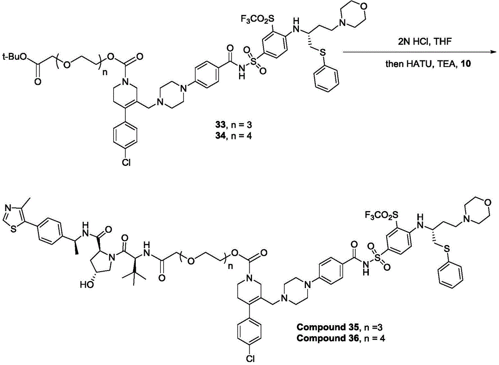 Figure BDA0003293294510000611
