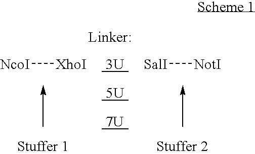 Figure US20050271663A1-20051208-C00003