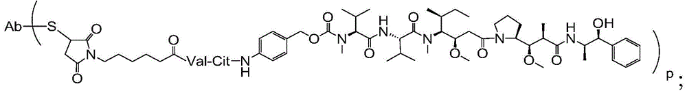 Figure BDA0003169464670000183