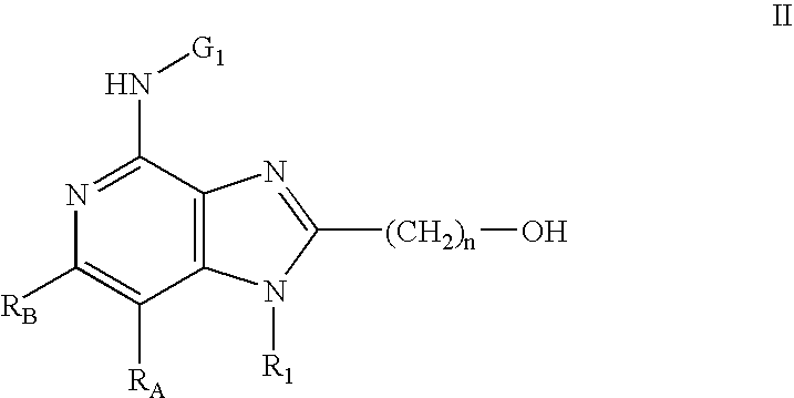 Figure US20090030031A1-20090129-C00923