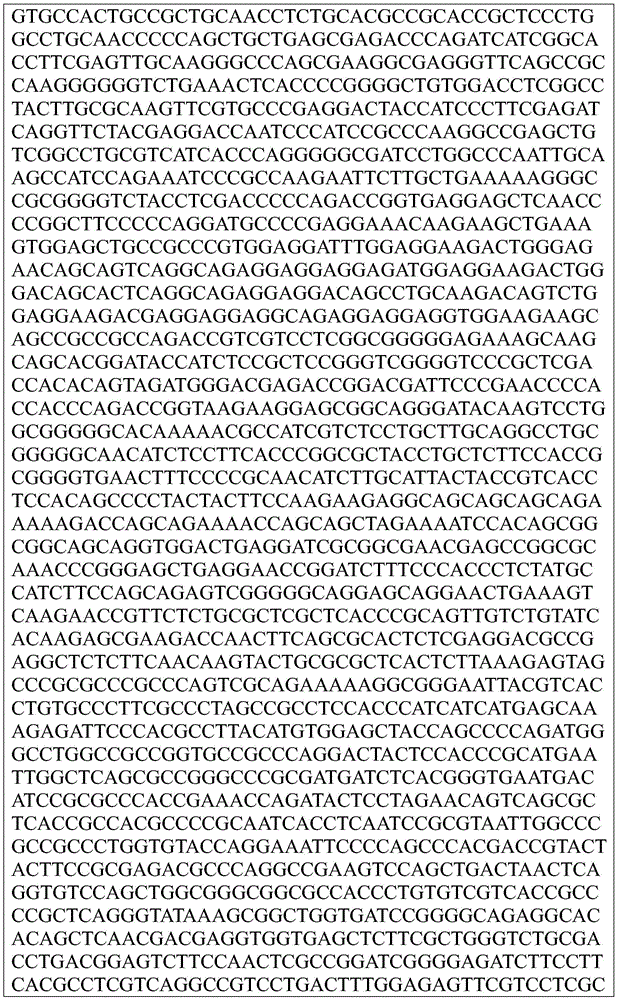 Figure BDA0002872168850001981