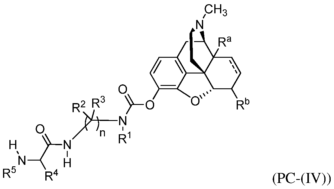 Figure imgf000006_0001